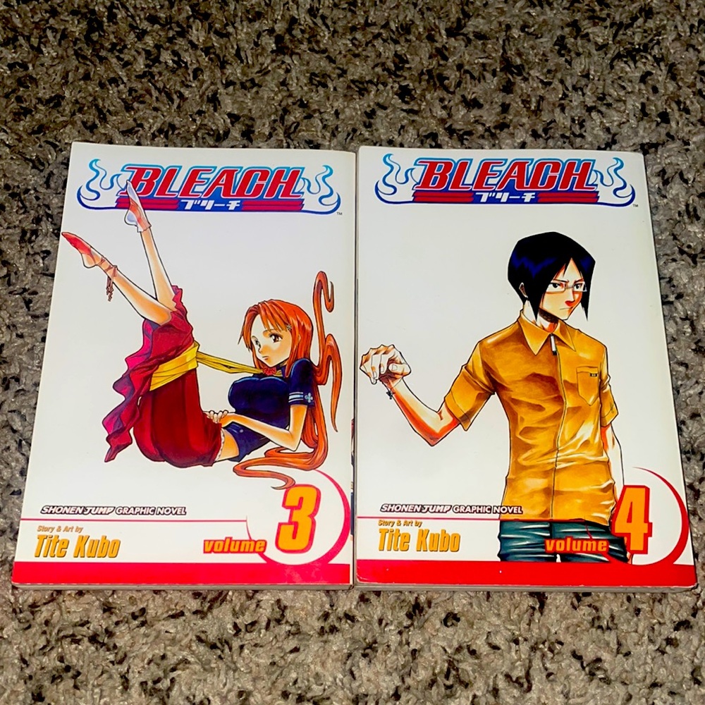 Bleach Vol. 3-4